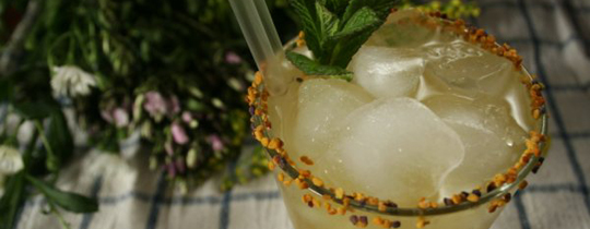 Mixology Training